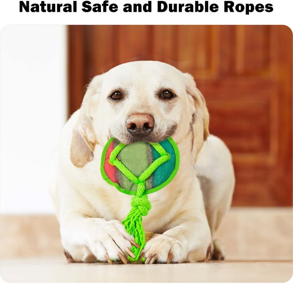 Show full view: allforpaws Rope Tangle Disc Dog Rope Tug Toy, Green slide 3 of 9