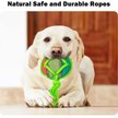 Show in main carousel: allforpaws Rope Tangle Disc Dog Rope Tug Toy, Green slide 3 of 9