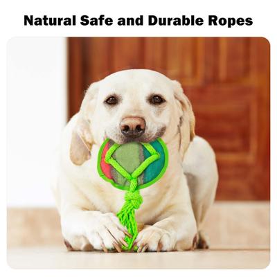 Show full view: allforpaws Rope Tangle Disc Dog Rope Tug Toy, Green slide 3 of 9