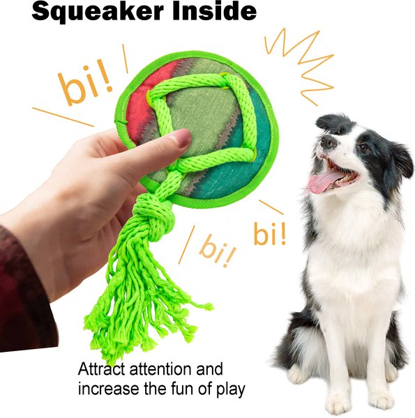 Show full view: allforpaws Rope Tangle Disc Dog Rope Tug Toy, Green slide 2 of 9
