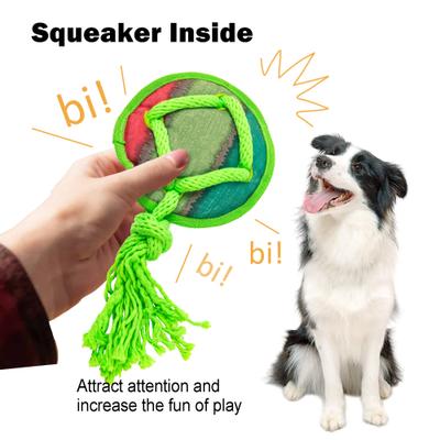 Show full view: allforpaws Rope Tangle Disc Dog Rope Tug Toy, Green slide 2 of 9