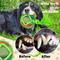 Show in main carousel: allforpaws Rope Tangle Disc Dog Rope Tug Toy, Green slide 4 of 9