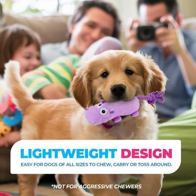 Show full view: allforpaws Ultrasonic Dancing Hippo Plush Dog Toy, Purple slide 7 of 9