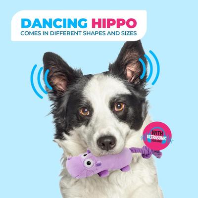 Show full view: allforpaws Ultrasonic Dancing Hippo Plush Dog Toy, Purple slide 6 of 9