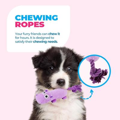 Show full view: allforpaws Ultrasonic Dancing Hippo Plush Dog Toy, Purple slide 3 of 9