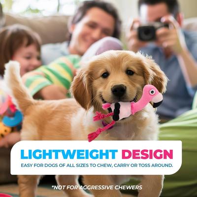 Show full view: allforpaws Ultrasonic Dj Flamingo Plush Dog Toy, Pink slide 5 of 9