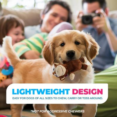 Show full view: allforpaws Ultrasonic Hypno Monkey Plush Dog Toy, Brown slide 6 of 10