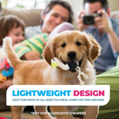 Show full view: allforpaws Ultrasonic Ostrich Plush Dog Toy, Black, Small slide 6 of 10