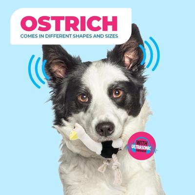 Show full view: allforpaws Ultrasonic Ostrich Plush Dog Toy, Black, Small slide 4 of 10