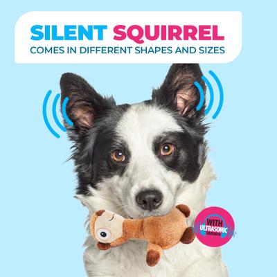 Show full view: allforpaws Ultrasonic Silent Squirrel Plush Dog Toy, Brown slide 6 of 11