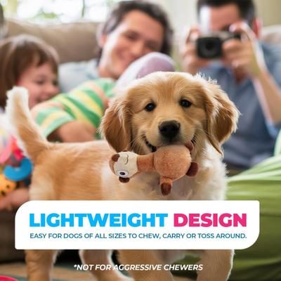 Show full view: allforpaws Ultrasonic Silent Squirrel Plush Dog Toy, Brown slide 7 of 11