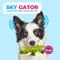 Show in main carousel: allforpaws Ultrasonic Sky Gator Plush Dog Toy, Green slide 7 of 11