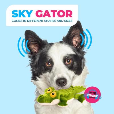 Show full view: allforpaws Ultrasonic Sky Gator Plush Dog Toy, Green slide 7 of 11