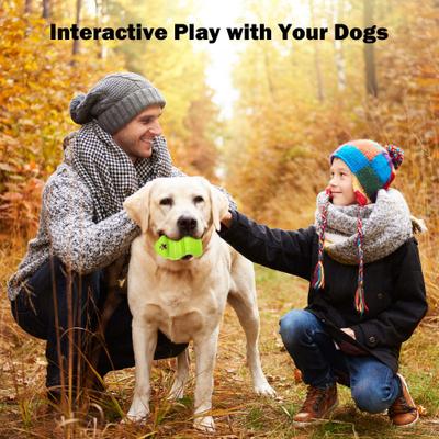 Show full view: allforpaws Xtra-R-Xtra-R Octo Dog Chew Toy, Green slide 4 of 8