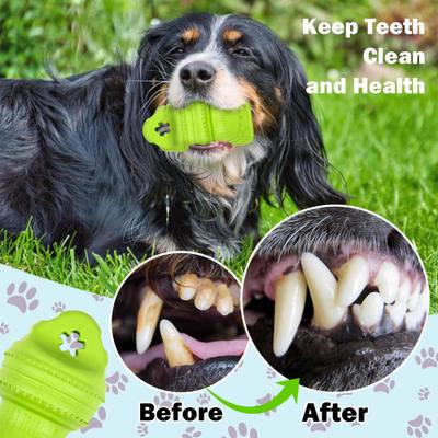 Show full view: allforpaws Xtra-R-Xtra-R Octo Dog Chew Toy, Green slide 3 of 8