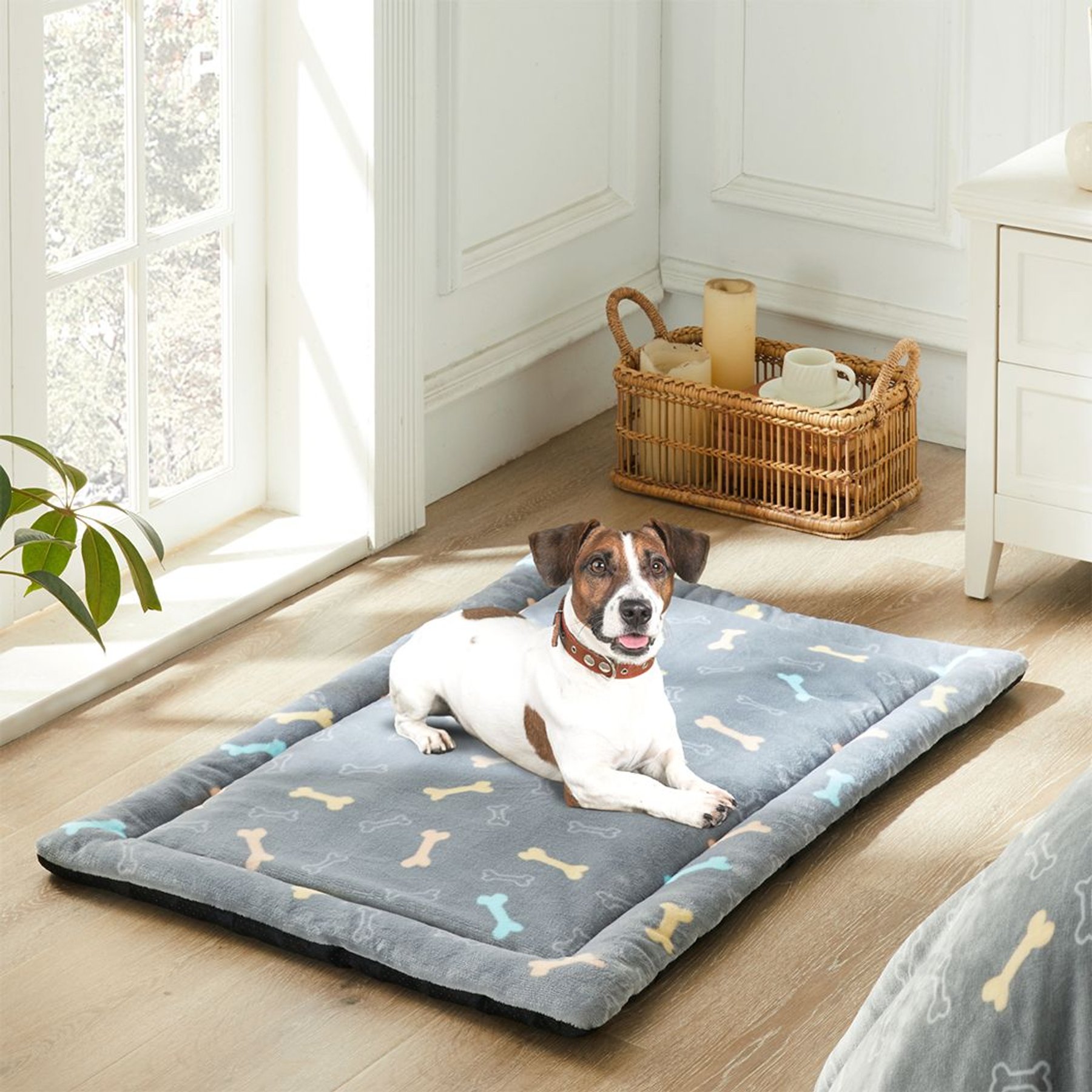 Allisandro Cozy Anti-Slip Kennel Bed & Travel Companion Dog Crate Mat, Grey bone, Medium