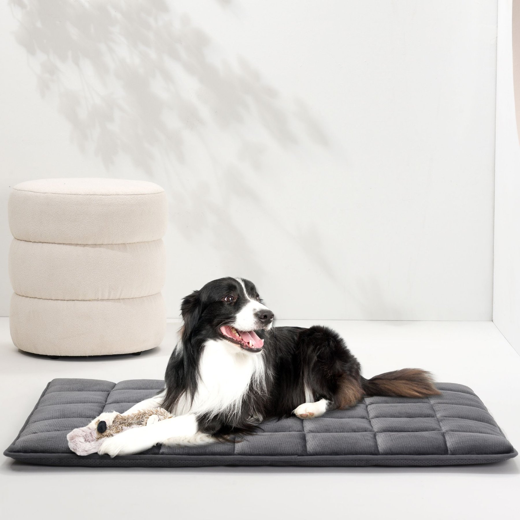 Allisandro Anti-Slip Waterproof Dog Crate Mat, Medium