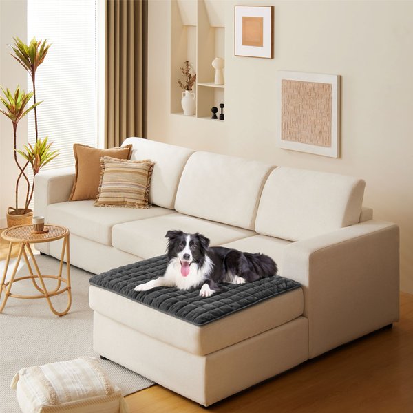 Show full view: Allisandro Anti-Slip Waterproof Furniture Protector, Grey, Jumbo slide 4 of 9