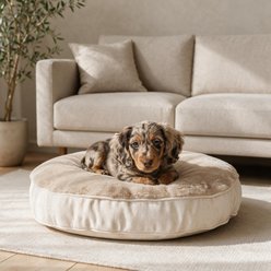 Allisandro Premium Round Dog Bed with Removable Cover, 24 x 24 x 4-in, Beige