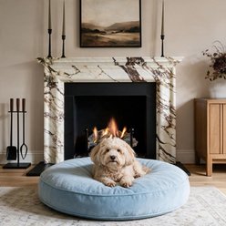 Allisandro Premium Round Dog Bed with Removable Cover, 24 x 24 x 4-in, Blue