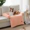 Show in main carousel: Allisandro Waterproof Pet Mat & Anti-Slip with Bolster Design Dog & Cat Bed with Removable Cover, Light Orange, Medium slide 2 of 6