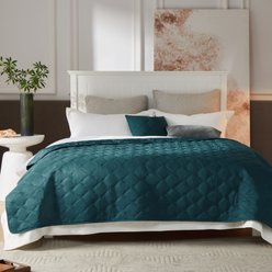 Allisandro Waterproof & Reversible Furniture Protector Dog & Cat Blanket, Green, King