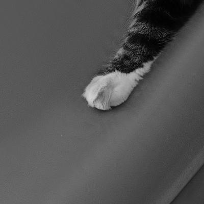 Show full view: Allisandro Waterproof Washable Anti-Slip Dog & Cat Crate Pad, Dark Grey, 48 x 30-in slide 6 of 9