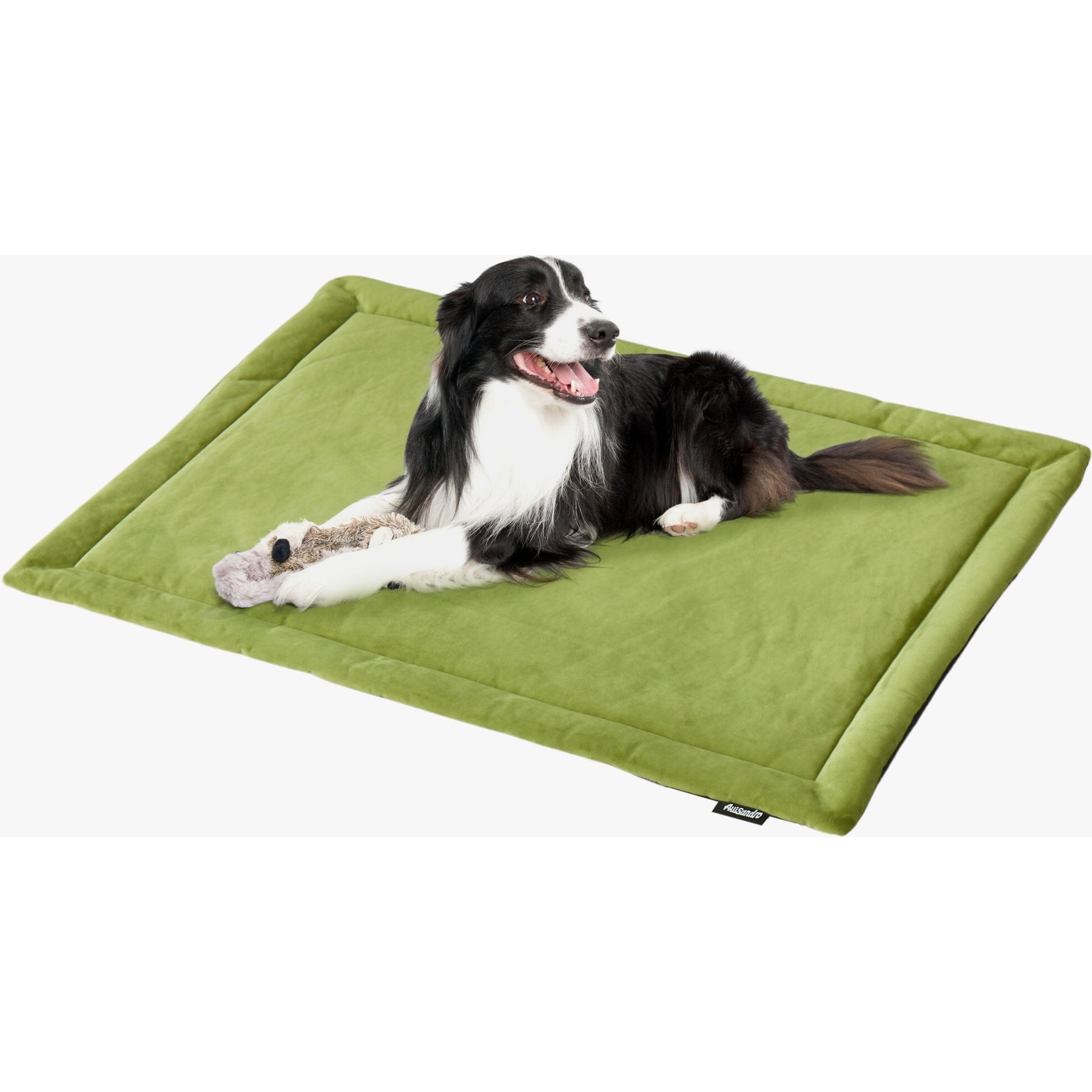 Allisandro Waterproof Washable Anti-Slip Dog & Cat Crate Pad, Grass Green, 42 x 28-in