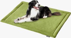 Allisandro Waterproof Washable Anti-Slip Dog & Cat Crate Pad, Grass Green, 36 x 23-in