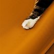 Show in main carousel: Allisandro Waterproof Washable Anti-Slip Dog & Cat Crate Pad, Orange, 42 x 28-in slide 6 of 8