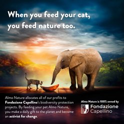 Almo Nature Classic Complete Tuna Recipe with Salmon in Gravy Flaked Wet Cat Food, 2.47-oz can, case of 12 slide 2 of 8