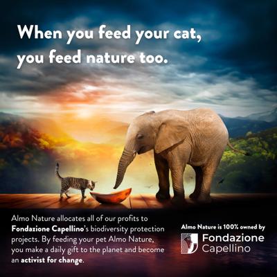 Show full view: Almo Nature Classic Complete Tuna Recipe with Salmon in Gravy Flaked Wet Cat Food, 2.47-oz can, case of 12 slide 9 of 10