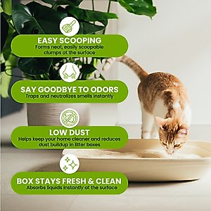 Almo Nature Unscented Clumping Plant-Based Natural Cat Litter, 10-lb bag