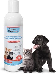 Alpha Dog Series Chlorhexidine & Ketoconazole Scent Dog, Cat & Small Pet Shampoo, 8-fl oz bottle