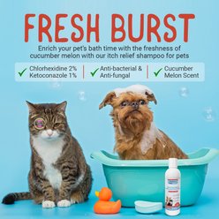 Alpha Dog Series Chlorhexidine & Ketoconazole Scent Dog, Cat & Small Pet Shampoo, 8-fl oz bottle slide 2 of 7