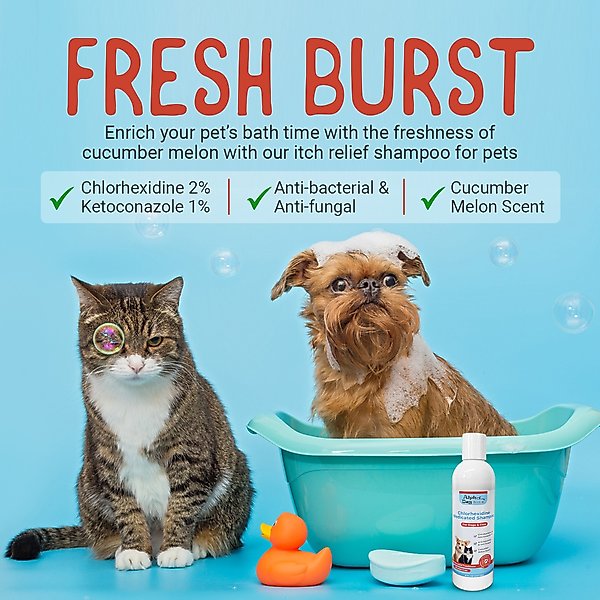Show full view: Alpha Dog Series Chlorhexidine & Ketoconazole Scent Dog, Cat & Small Pet Shampoo, 8-fl oz bottle slide 5 of 7