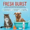 Show in main carousel: Alpha Dog Series Chlorhexidine & Ketoconazole Scent Dog, Cat & Small Pet Shampoo, 8-fl oz bottle slide 5 of 7