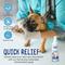 Show in main carousel: Alpha Dog Series Chlorhexidine & Ketoconazole Scent Dog, Cat & Small Pet Spray, 8-fl oz bottle slide 4 of 7