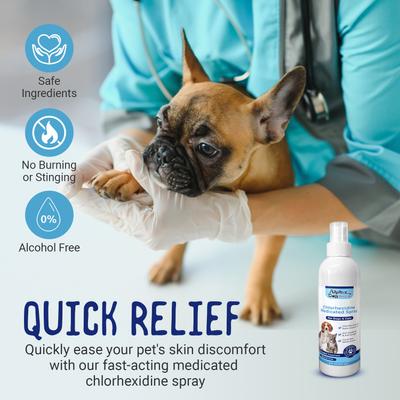 Show full view: Alpha Dog Series Chlorhexidine & Ketoconazole Scent Dog, Cat & Small Pet Spray, 8-fl oz bottle slide 4 of 7