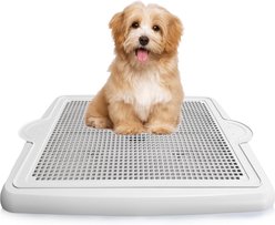 Alpha Dog Series Dog Potty Tray with Raised Mesh, White, 22 x 17 x 2-in
