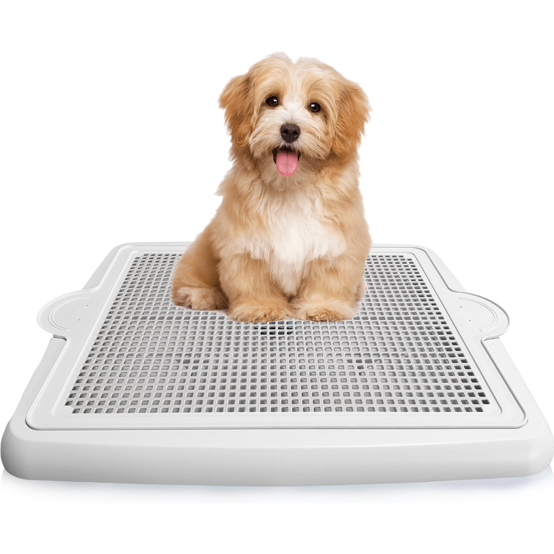 Alpha Dog Series Dog Potty Tray with Raised Mesh, White, 22 x 17 x 2-in