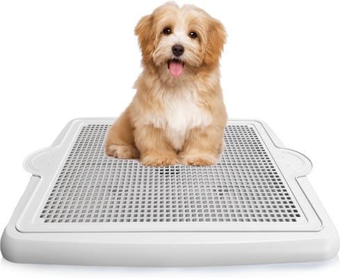 ALPHA DOG SERIES Dog Potty Tray with Raised Mesh, White, 22 x 17 x
