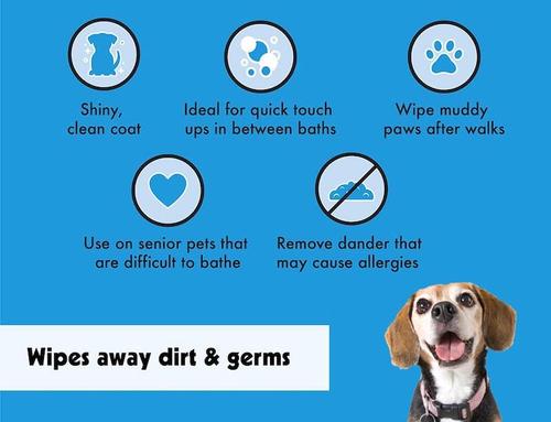 Show full view: Alpha Dog Series Unscented Dog Clean Up Wipes, 70 count slide 5 of 6