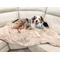 Show in main carousel: Alpha Paw PawProof Dog Throw Blanket, Beige, Medium slide 3 of 3
