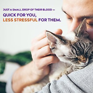 AlphaTRAK 3 Test Strips for Blood Glucose Monitoring System for Cats, Dogs, & Horses, 50 strips