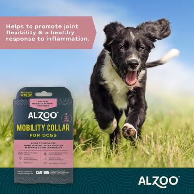 Show full view: ALZOO Natural Plant Based Mobility Dog Collar slide 5 of 8