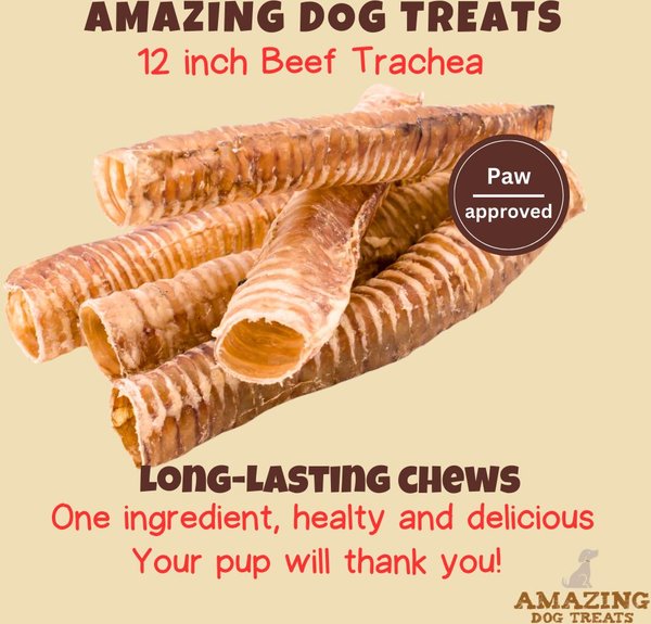 Amazing Dog Treats 12-in Beef Trachea Dog Treats