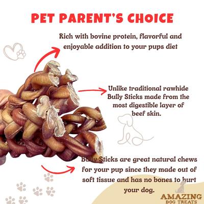 Show full view: Amazing Dog Treats Adult 12-inch Beef Braided Bully Stick Dog Treats, 4 count slide 4 of 8