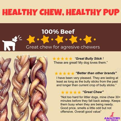 Show full view: Amazing Dog Treats Adult 12-inch Beef Braided Bully Stick Dog Treats, 4 count slide 8 of 8