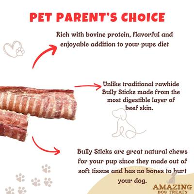 Show full view: Amazing Dog Treats Beef Trachea 3 - 4-inch Dog Treats, 25 count slide 4 of 9